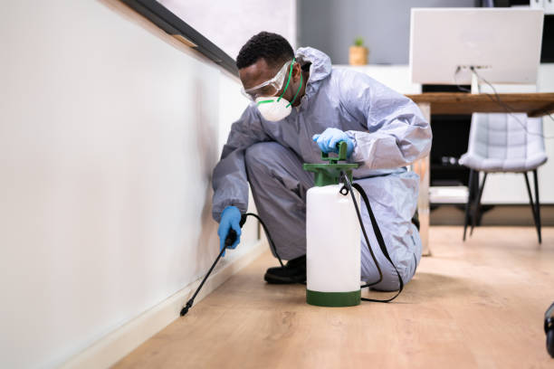 Best Pest Prevention Services  in Locust Fork, AL